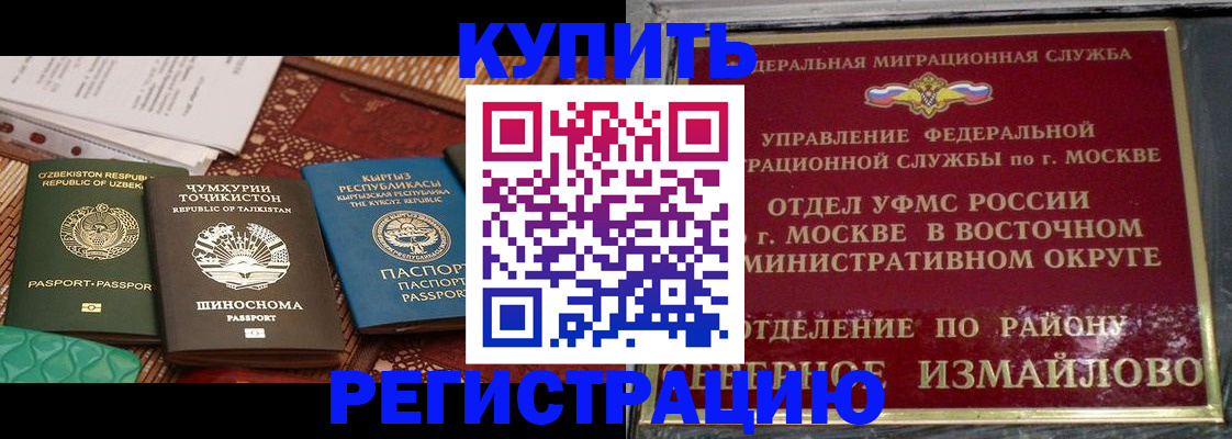 временная регистрация надежно в Мончегорске